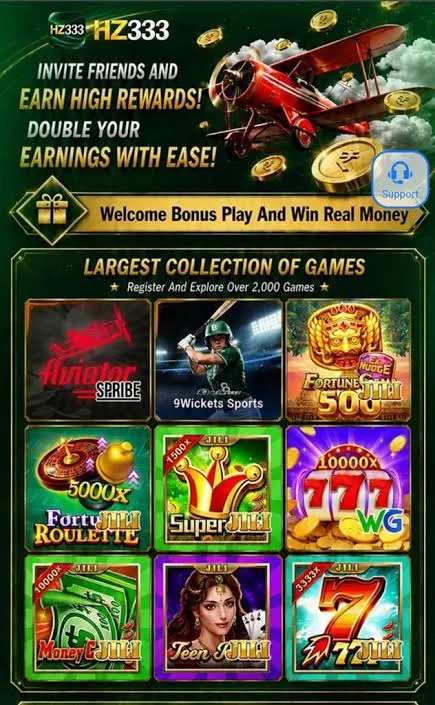 HZ333 Game Screenshot